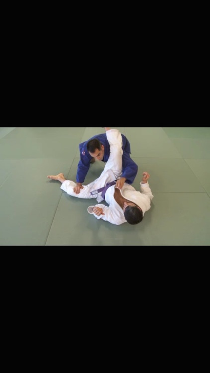 Brazilian Jiu Jitsu: Brown Belt Requirements screenshot-3