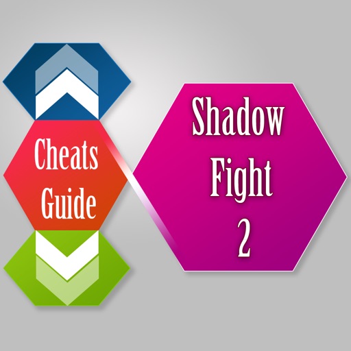 Guide + Cheats for Shadow Fight 2