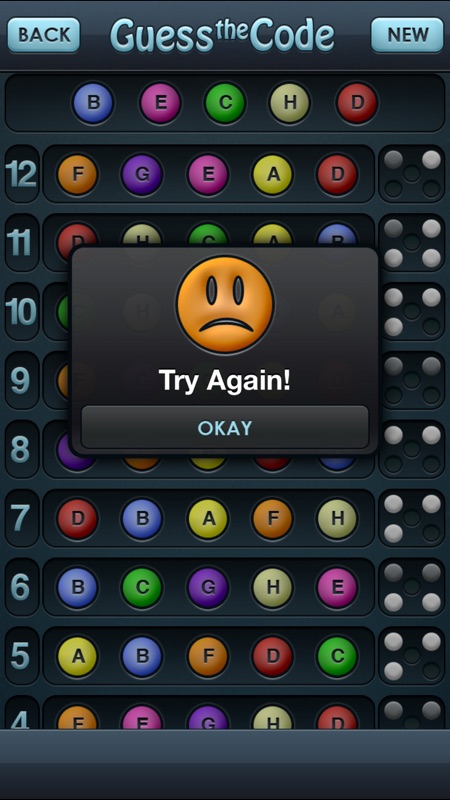 Guess the Code! screenshot 3