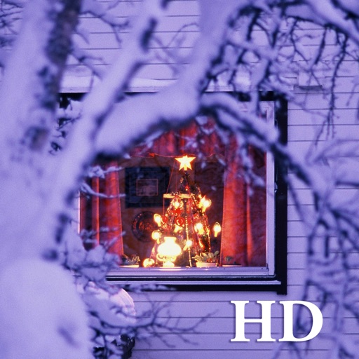 Scandinavia -Winter Lights-