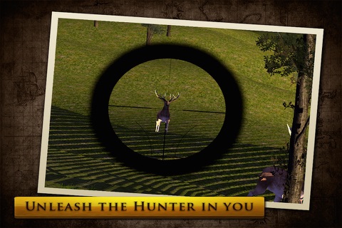 Virtual Hunting : Stag screenshot 2