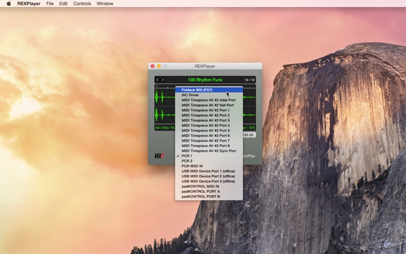 Screenshot #3 pour REXPlayer