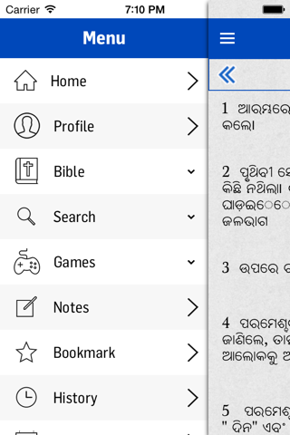 Oriya Bible - Holy Bible screenshot 4