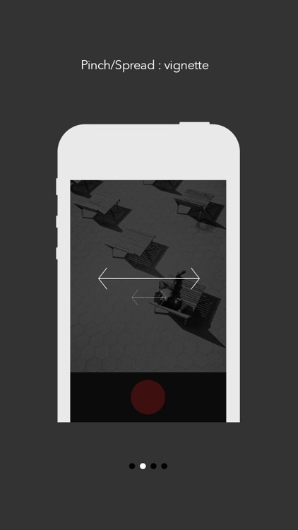 gray - simple grayscale camera