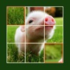 Icon Animal Jigsaw Puzzle - Ultimate swap tile game edition