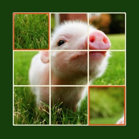 螢幕擷取畫面 (4) Animal Jigsaw Puzzle - Ultimate swap tile game edition