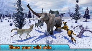 Angry Wolf Simulator 3Dのおすすめ画像5