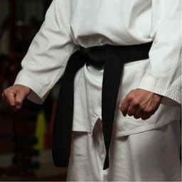 Karate Techniques - Learn Basic Karate Moves Easily