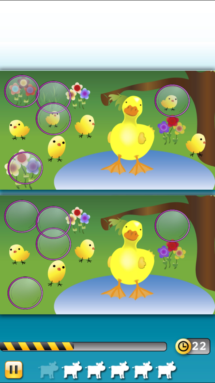 Animal differences Try and find them