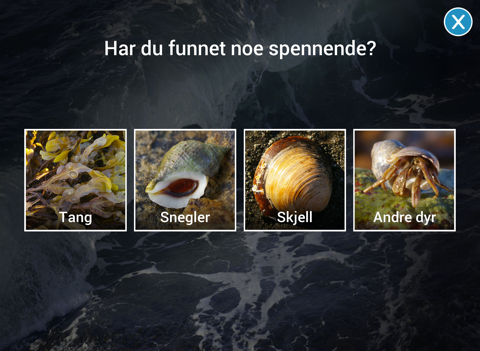 Screenshot #5 pour Strandkanten