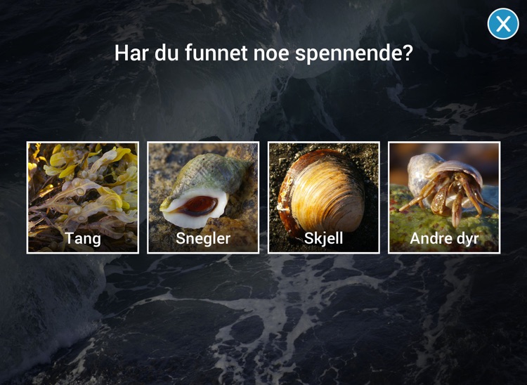Strandkanten