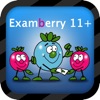 11+ Non Verbal Reasoning - Fully Interactive NVR Practice and Mocks