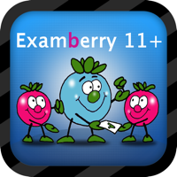 11+ Non Verbal Reasoning - Fully Interactive NVR Practice and Mocks