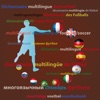 Dictionnaire multilingue du football en 10 langues - Français, Anglais, Allemand, Espagnol,  Espagnol argentin, Italien, Portugais, Portugais brésilien, Néerlandais, Russe et Ukrainien.