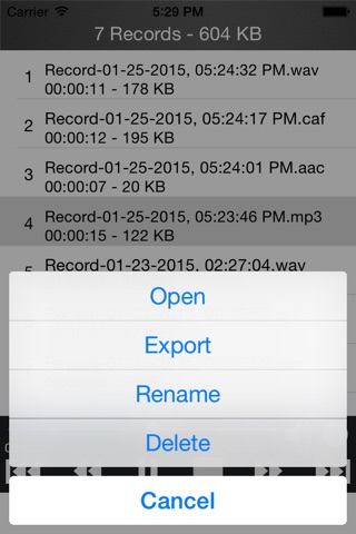 Audio Recorder-Recording Voice screenshot 4