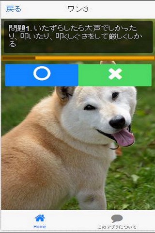 賢い犬の育て方 screenshot 2