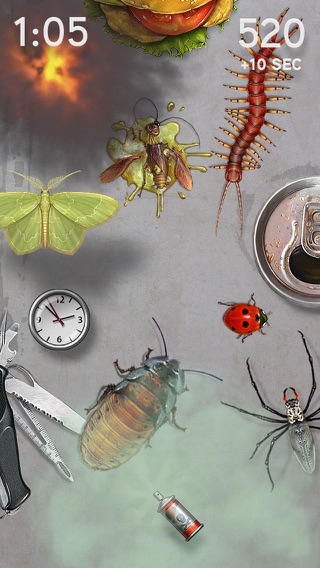 iBugs Invasion — バグキック - 昆虫ゲームを子供のための：カエル、蟻、蜘蛛、ムカデ＆蝶をのおすすめ画像4