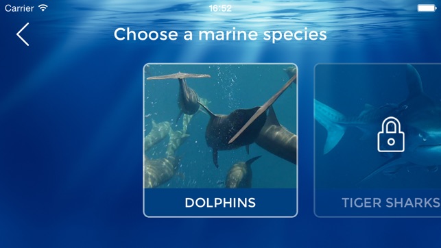 DiveFree(圖3)-速報App