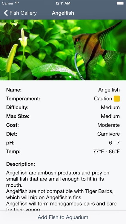 My Aquarium Guide