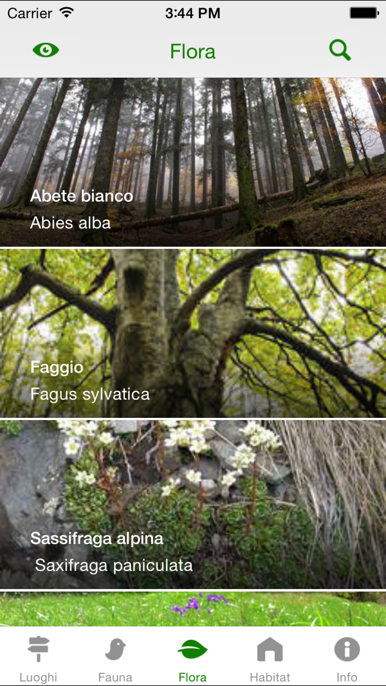 Il Parco delle Foreste Casentinesi