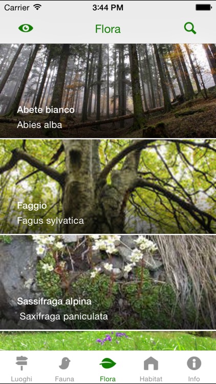 Il Parco delle Foreste Casentinesi screenshot-3