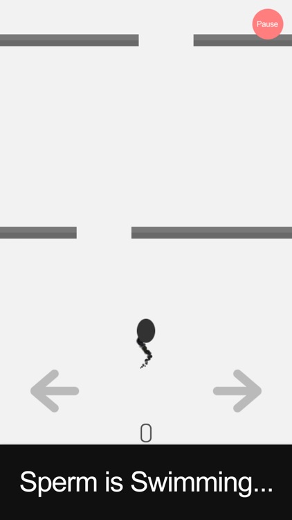 Sperm Swimming: A journey to the egg