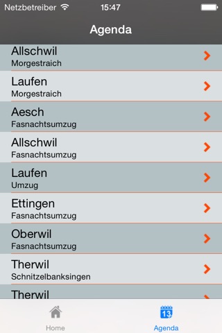 BaselFasnacht screenshot 4