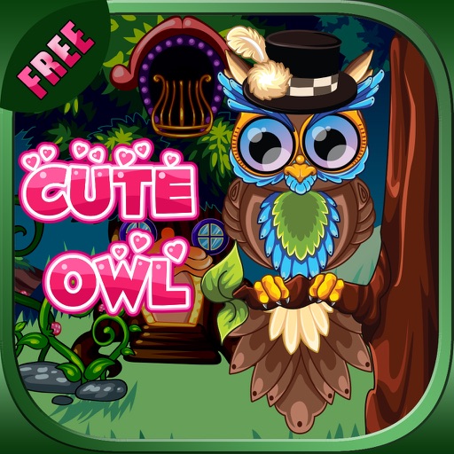 Owl Dress Up - Free Game