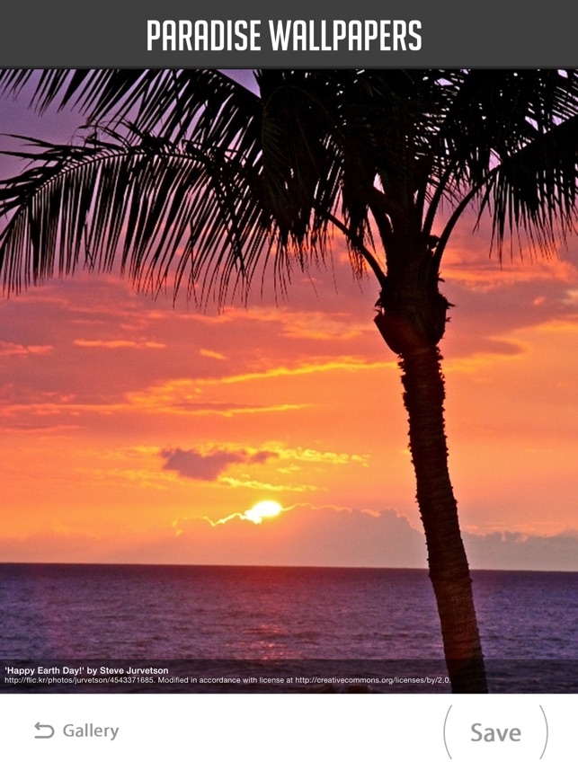 Sunset, Sea, Summer, Palm, Sky, Tropics, Caribbean, Paradise Wallpaper -  Wallpaperforu