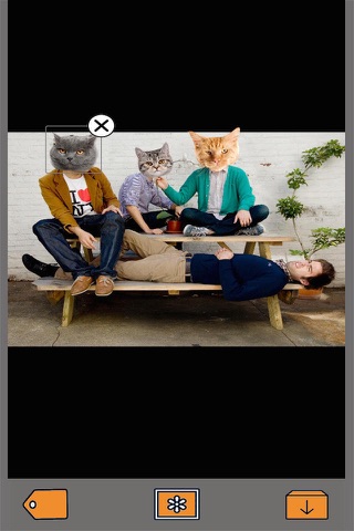 Cat Builder Free - Photo Bomb Pictures Instantly and Superimpose Funny Kitties on your Pics !!! screenshot 2