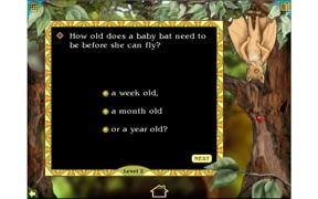 Stellaluna Living Book screenshot