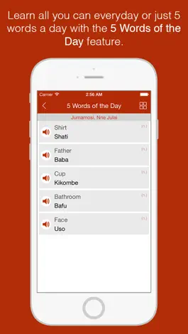Game screenshot Swahili Primer - Learn To Speak And Write Swahili Language: Grammar, Vocabulary & Exercises hack