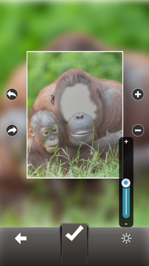 Photo Fun Animal(圖3)-速報App