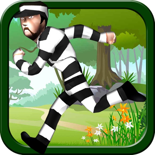 Thief Run 3D iOS App