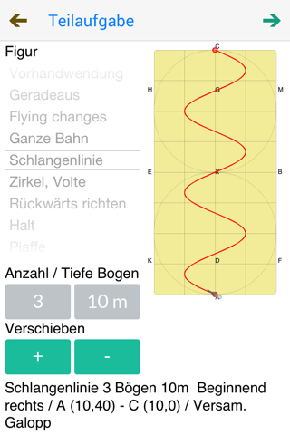 Dressage freestyle screenshot 3