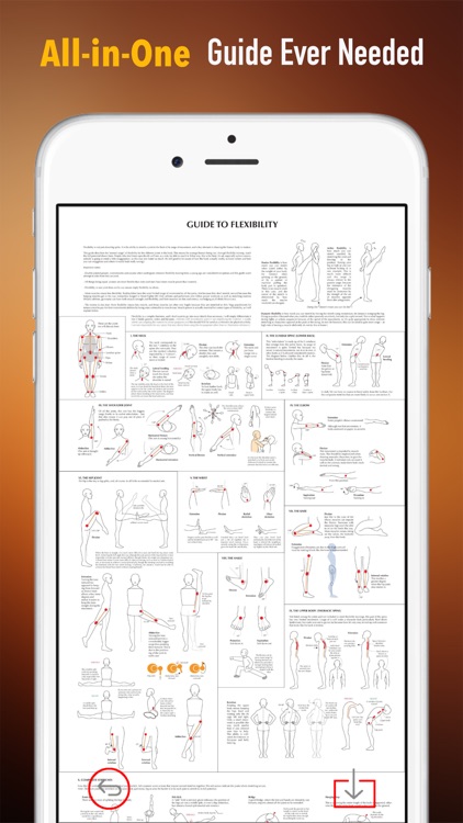Tae kwon do 101: Quick Learning Reference with Video Lessons and Glossary