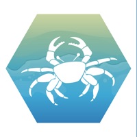 Strandkanten for mobil pour PC