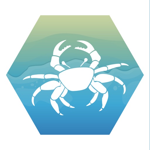 Strandkanten for mobil app icon