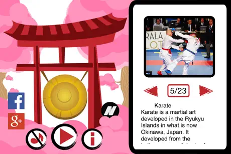 Las mejores artes marciales