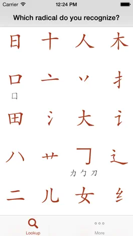 Game screenshot Kangxi Radicals apk