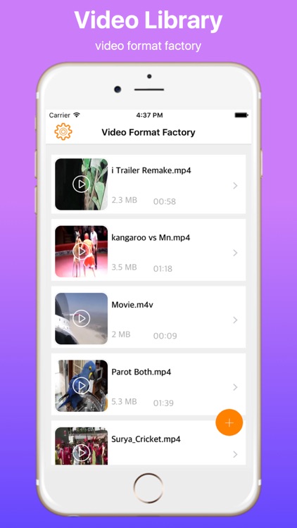 Video Format Factory Pro