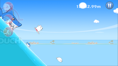 South Surfers Screenshot
