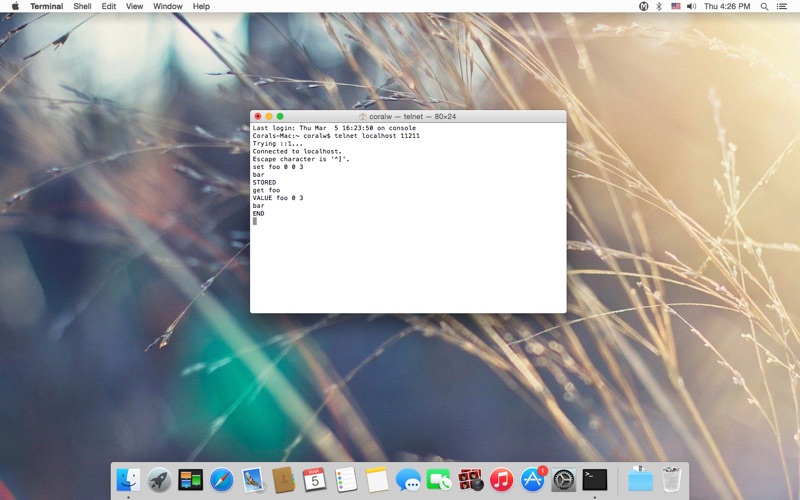 Memcached Server screenshot