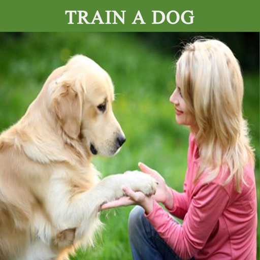 How To Train a Dog icon