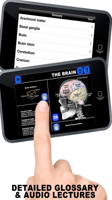 Anatomy 3D - Organs Screenshot