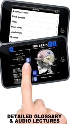 Anatomy 3D - Organs screenshot 5