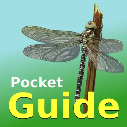 Pocket Guide UK Dragonflies Читы