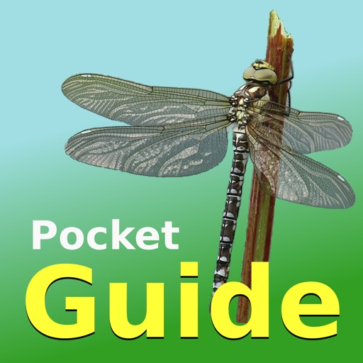 Pocket Guide UK Dragonflies icon