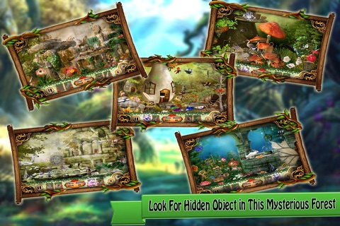 Forest Mystery Hidden Objects screenshot 2