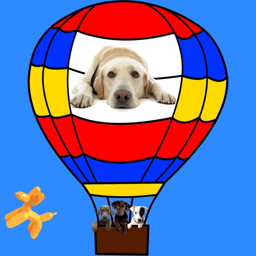 Dog series: Balloon Dog